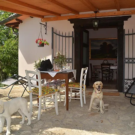 La Casina Di *